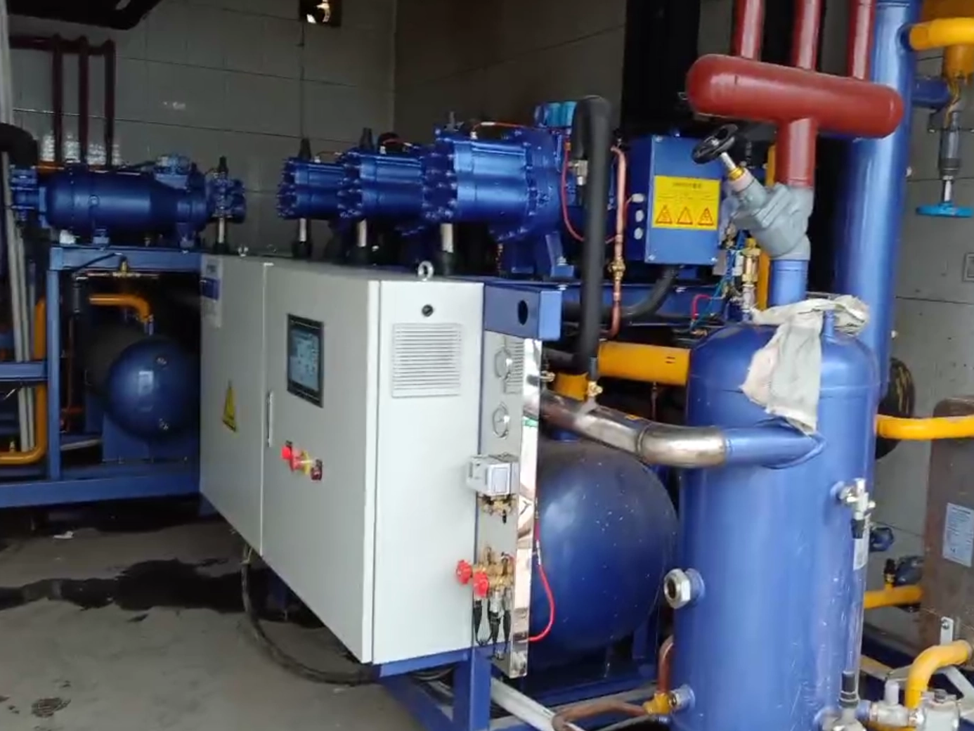 Base expérimentale de maïs 2023 de l'Université agricole du Hebei 